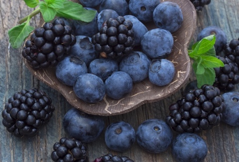 Черника, Ежевика Черника, Ежевика