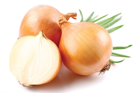 Репчатый лук Репчатый лук