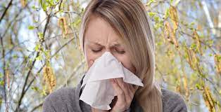 Весеннее недомогание: аллергия на пыльцу деревьев Весеннее недомогание: аллергия на пыльцу деревьев